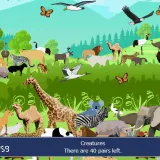 Looking for creatures in the forest