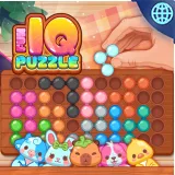 Fun IQ Puzzle
